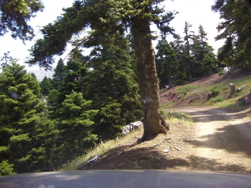 SANY0008.JPG