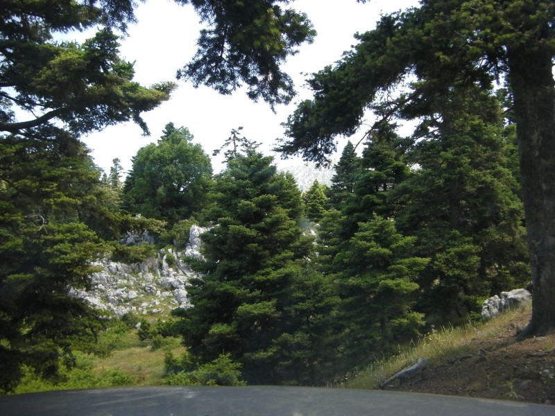 SANY0009.JPG
