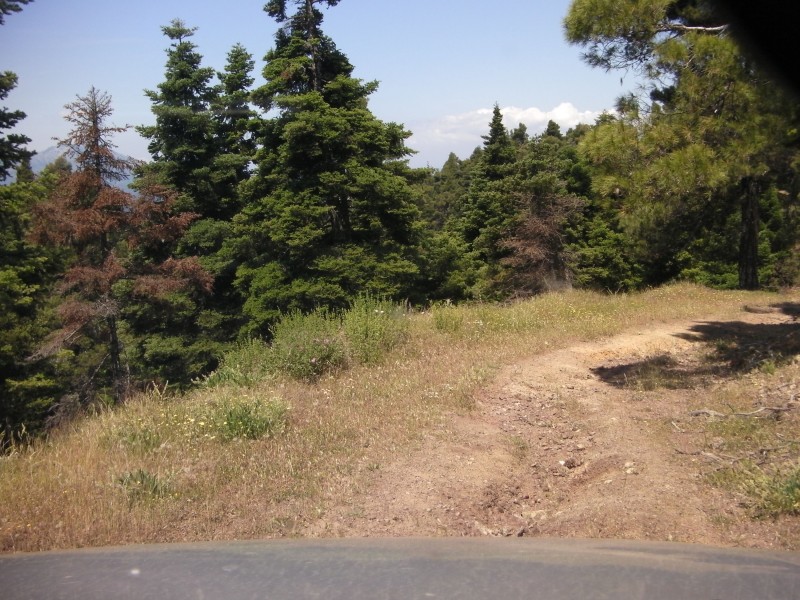 SANY0014.JPG