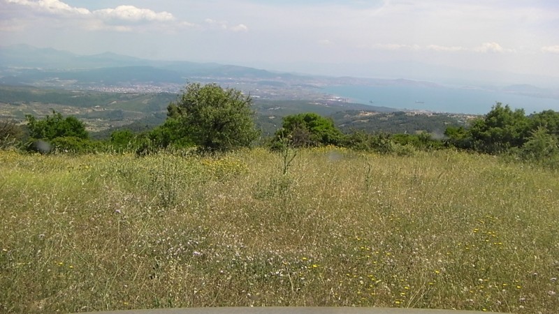 SANY0036.JPG