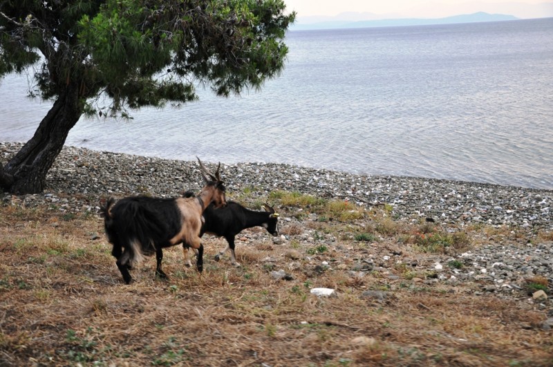 DSC_0024.JPG