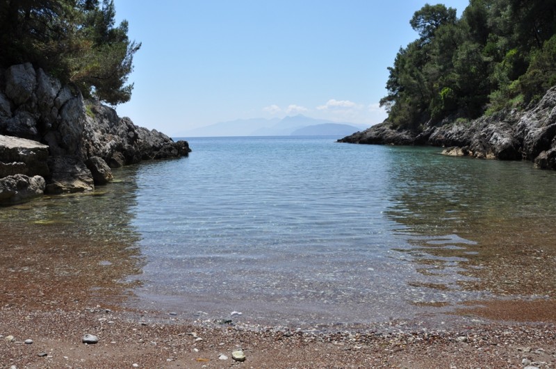 DSC_0106.JPG