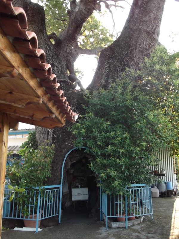 DSCF0425.jpg
