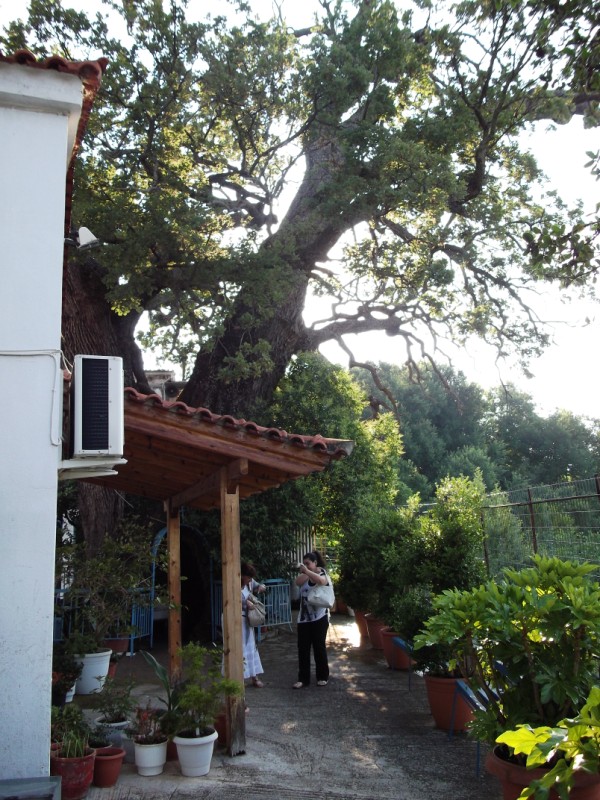 DSCF0423.jpg