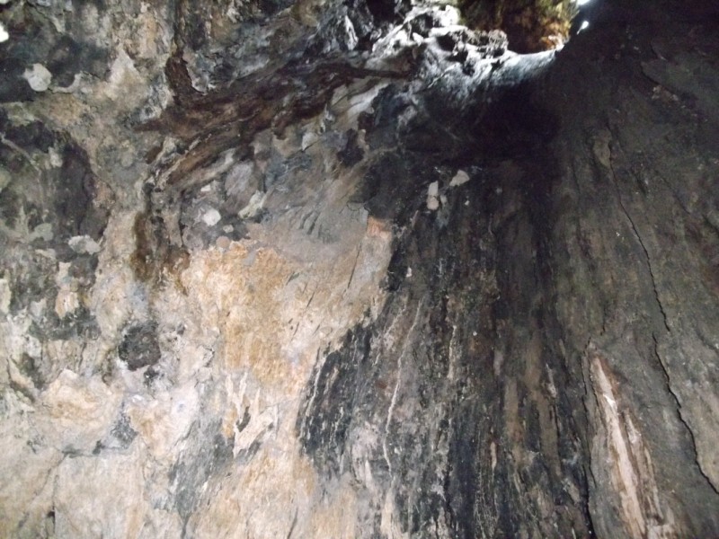 DSCF0415.jpg
