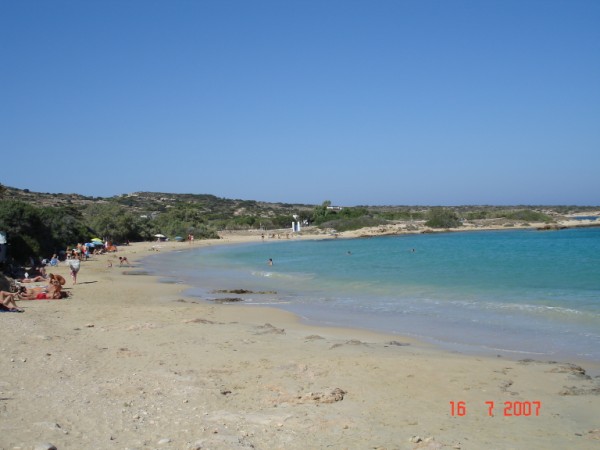 DSC00265.jpg