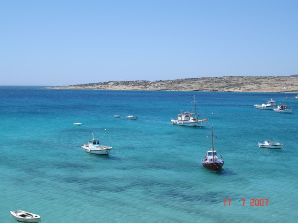DSC00270.jpg