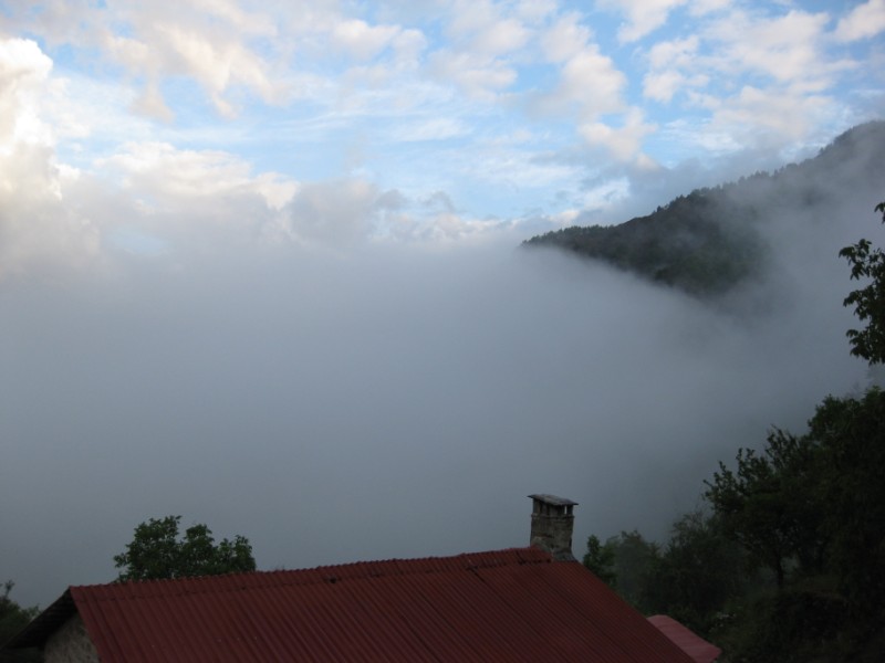 IMG_0860.jpg