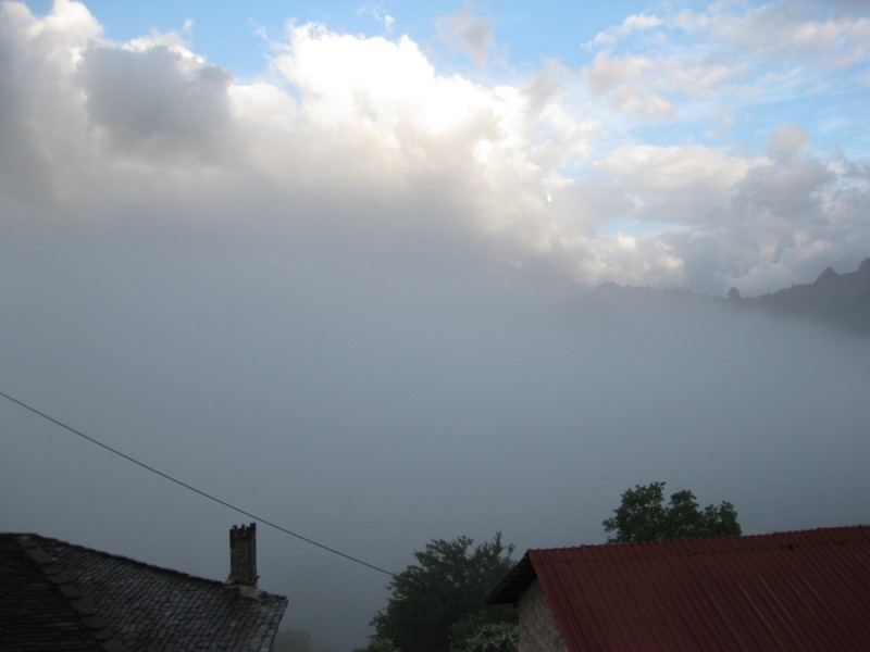 IMG_0857.jpg