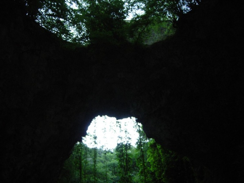 6 (855 x 641).jpg