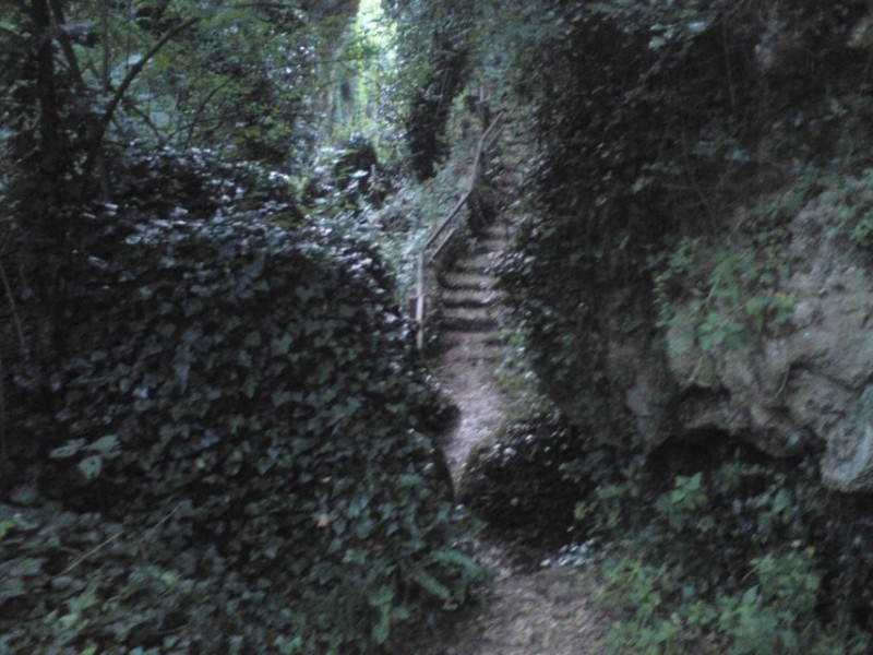 12 (855 x 641).jpg