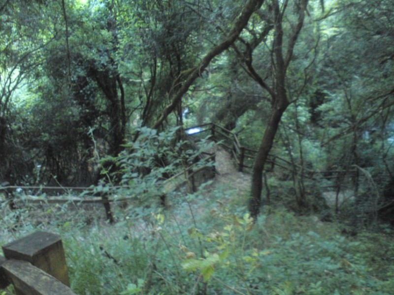 μονοπατι κατω απ το θεογεφυρο (2) (855 x 641).jpg
