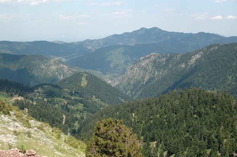 DSC_0001.jpg