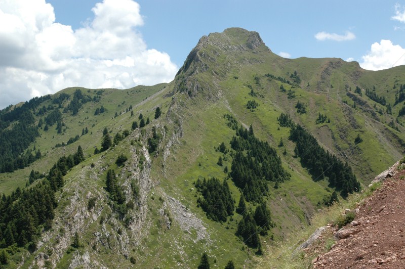 DSC_0006.jpg