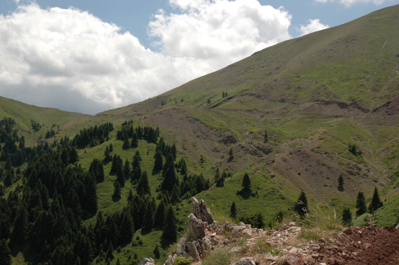 DSC_0013.jpg