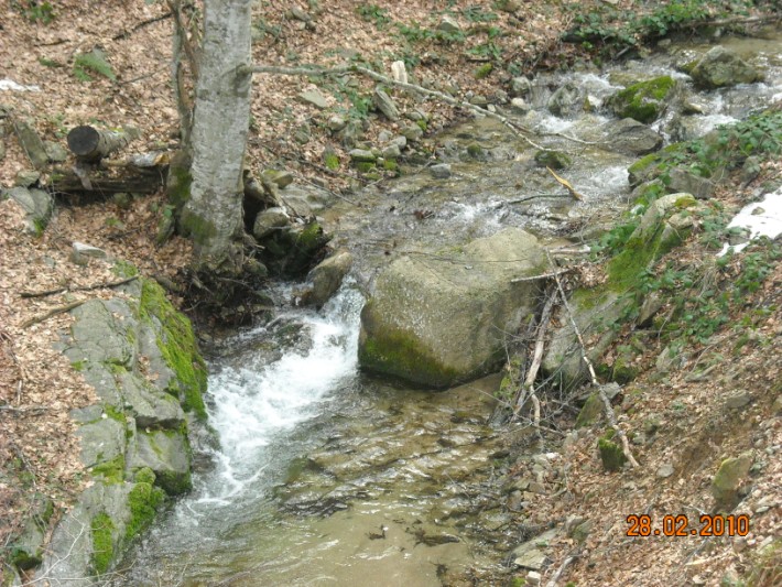 elatoxori1 021.jpg