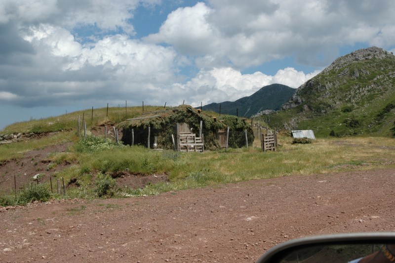 DSC_0026.jpg