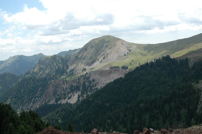 DSC_0027.jpg