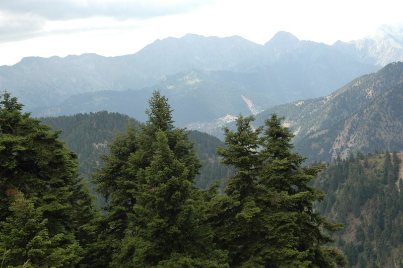 DSC_0047.jpg