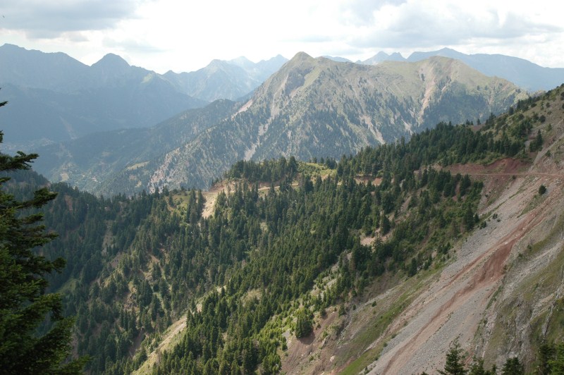 DSC_0064.jpg
