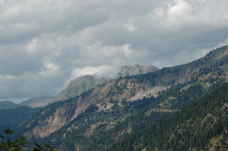 DSC_0068.jpg