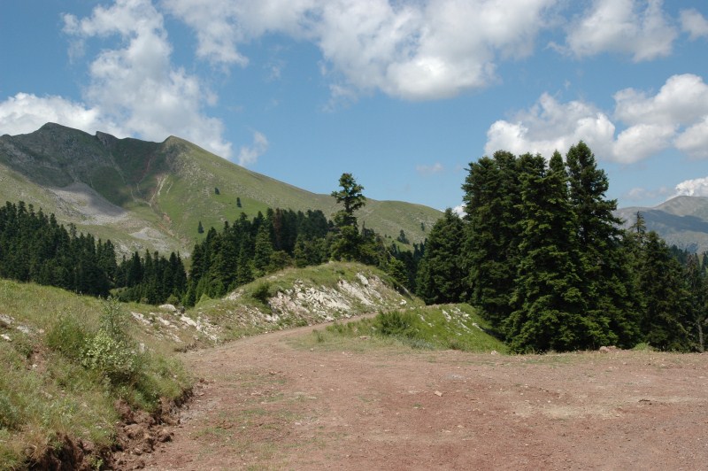 DSC_0102.jpg