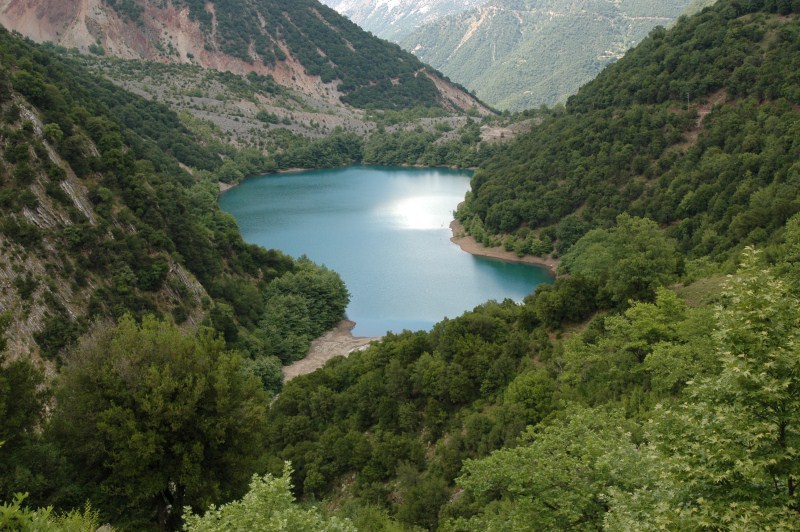DSC_0135.jpg