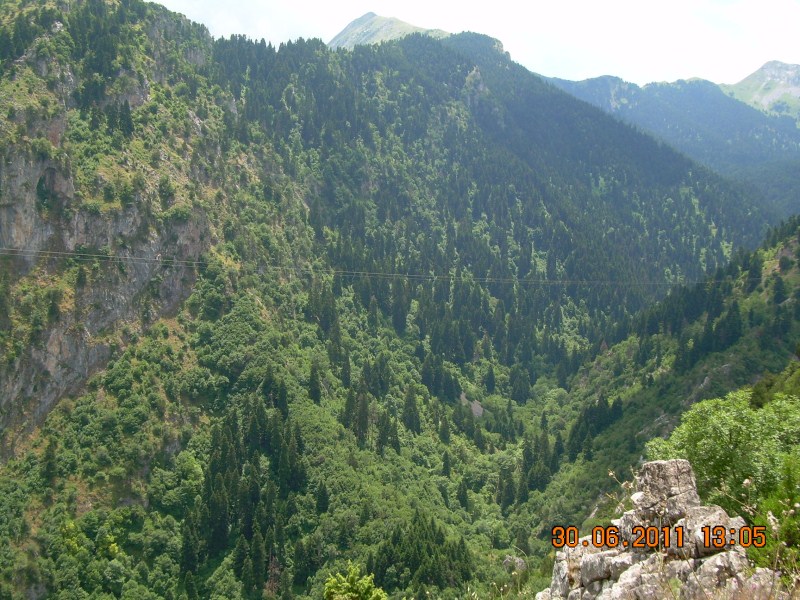 DSCN1706.jpg