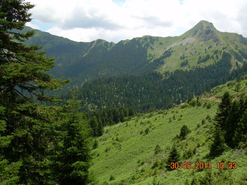 DSCN1708.jpg