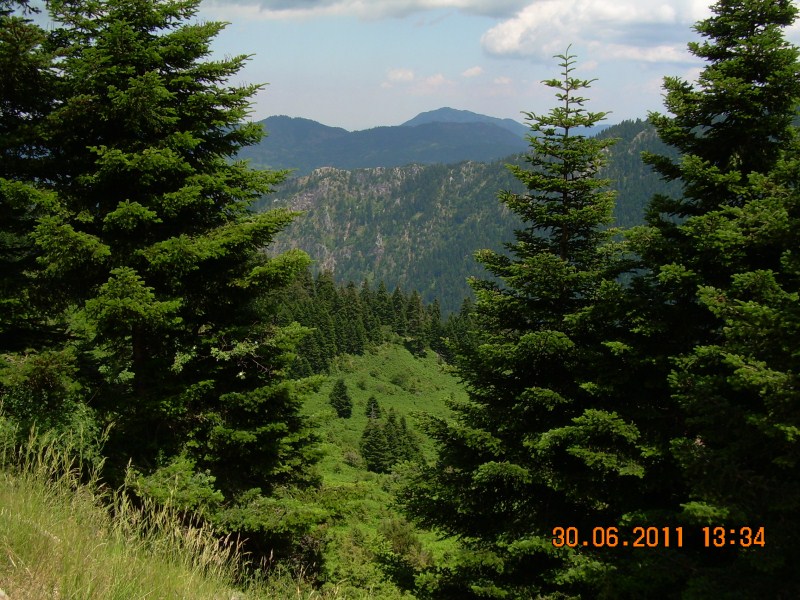 DSCN1711.jpg