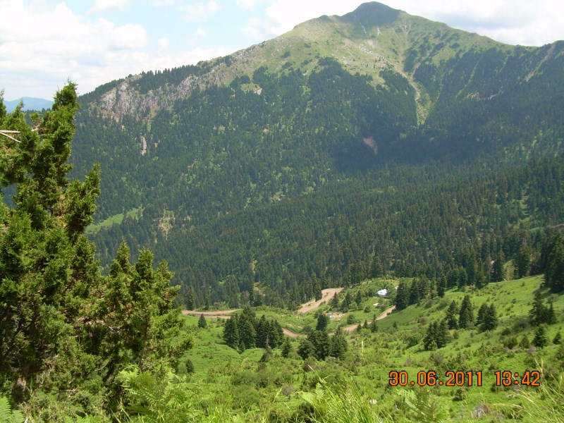 DSCN1730.jpg