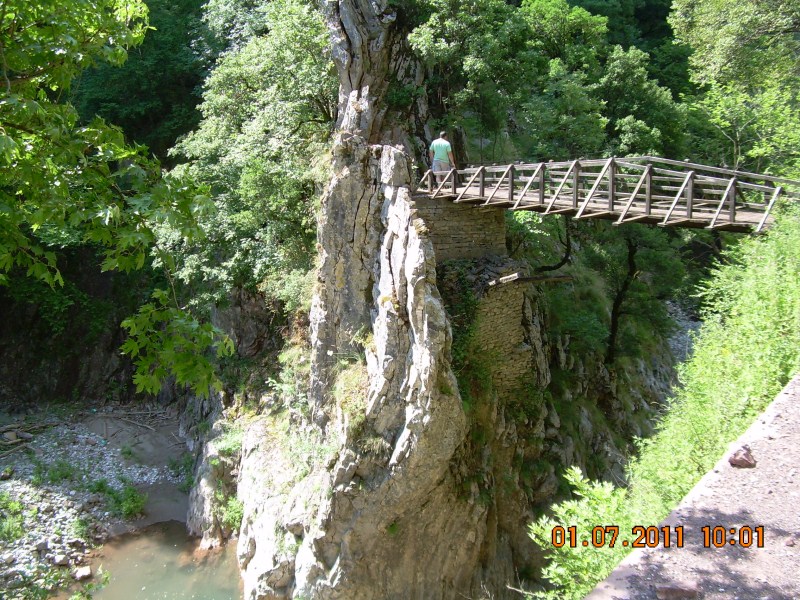 DSCN1749.jpg
