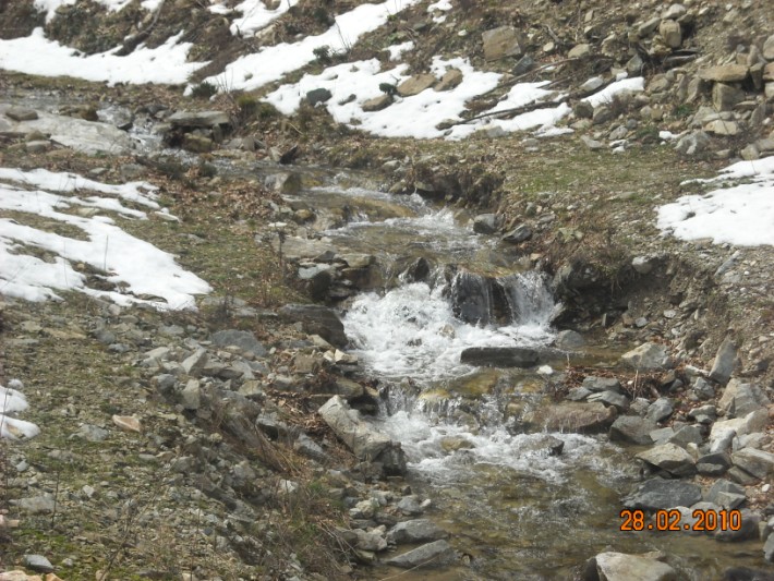 elatoxori1 008.jpg