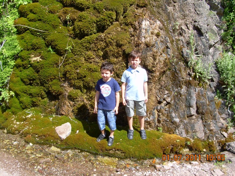 DSCN1761.jpg