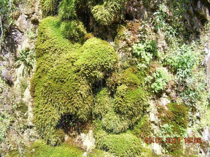 DSCN1762.jpg