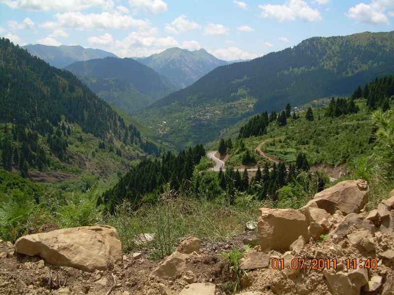 DSCN1774.jpg
