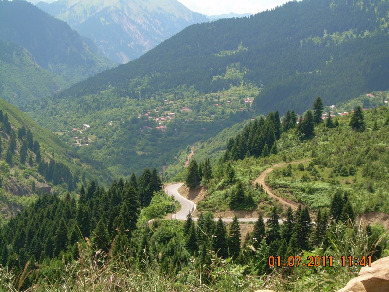 DSCN1775.jpg