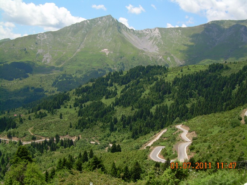 DSCN1779.jpg