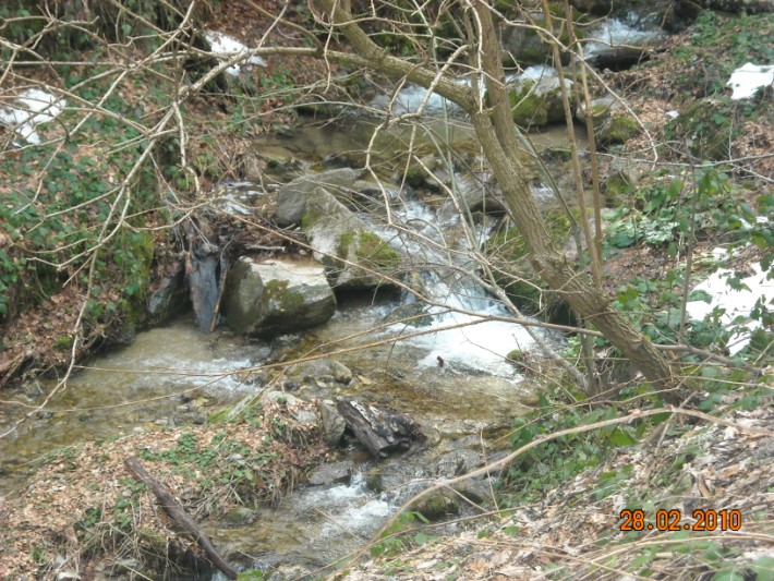 elatoxori1 027.jpg