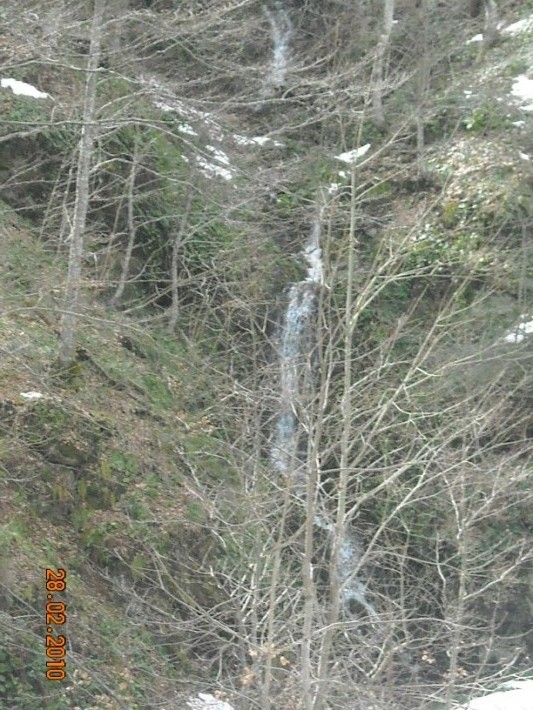 elatoxori1 024.jpg