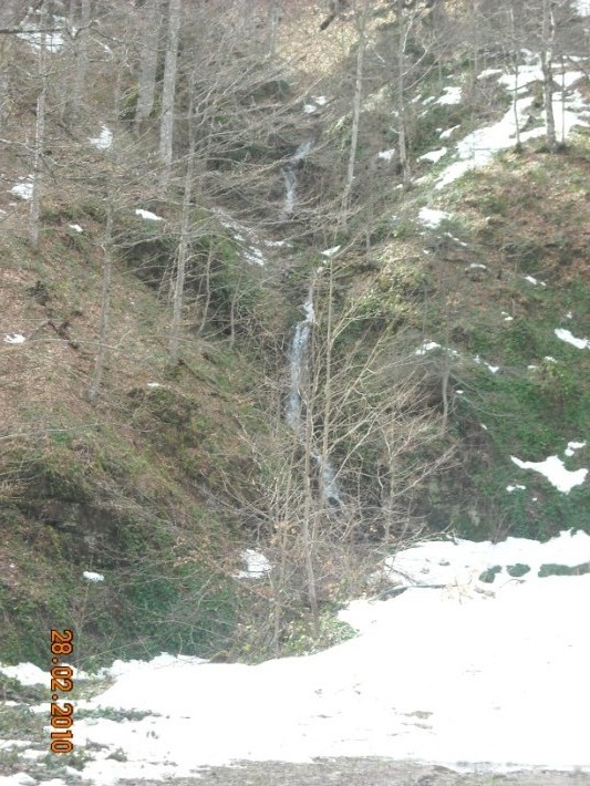 elatoxori1 025.jpg