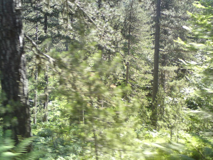 DSC00596.jpg