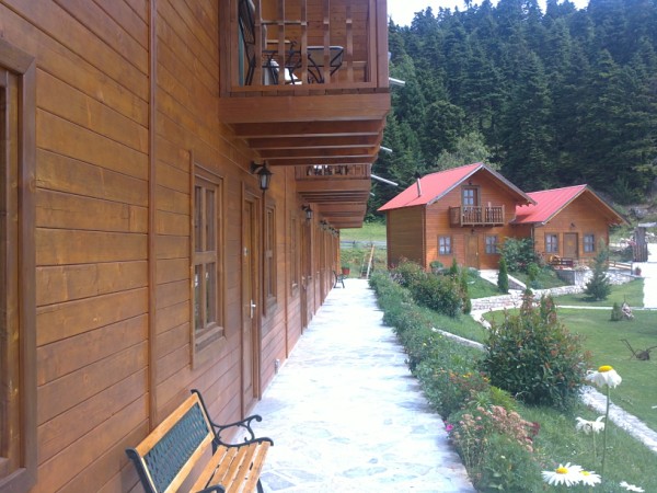 23072011248 (600 x 450).jpg