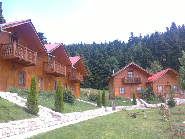 23072011250 (600 x 450).jpg