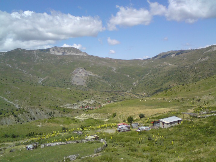 DSC00618.jpg