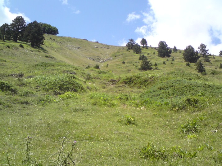 DSC00626.jpg