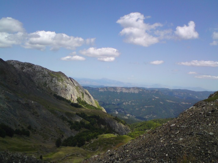 DSC00662.jpg