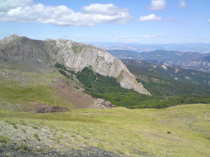DSC00683.jpg