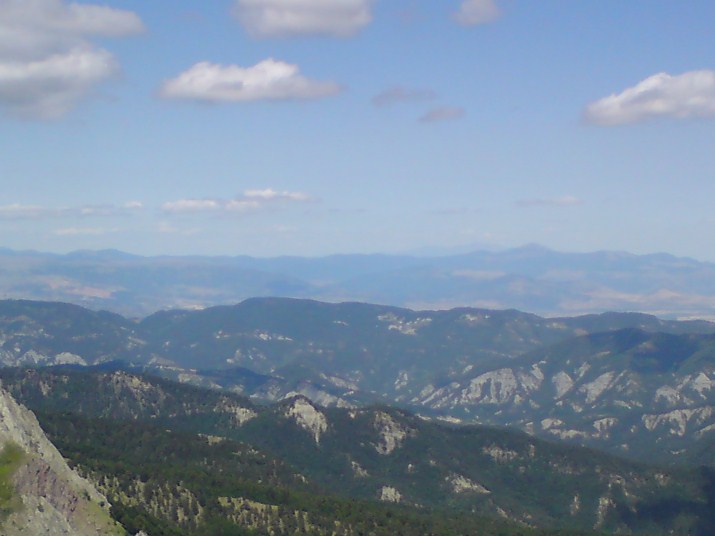 DSC00684.jpg