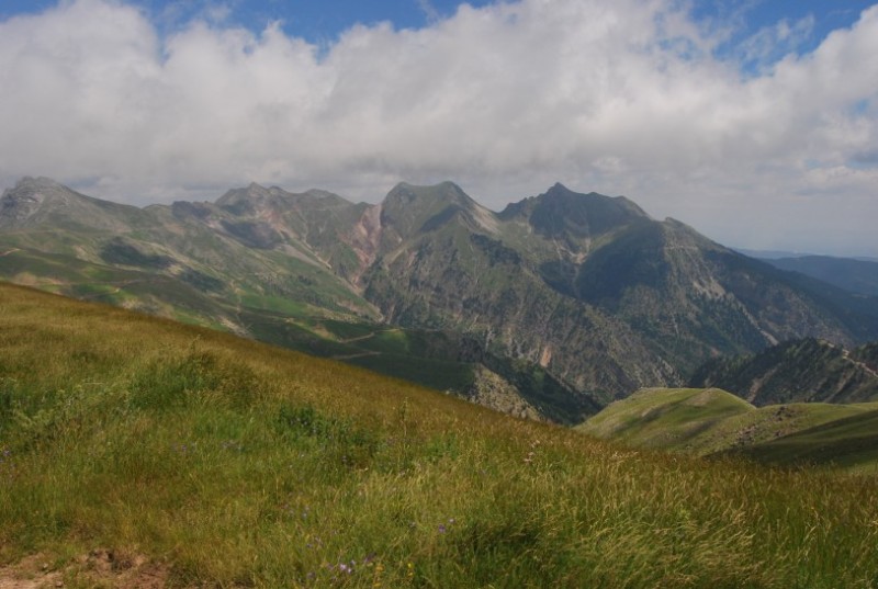 DSC_0381.jpg
